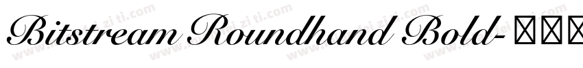 Bitstream Roundhand Bold字体转换